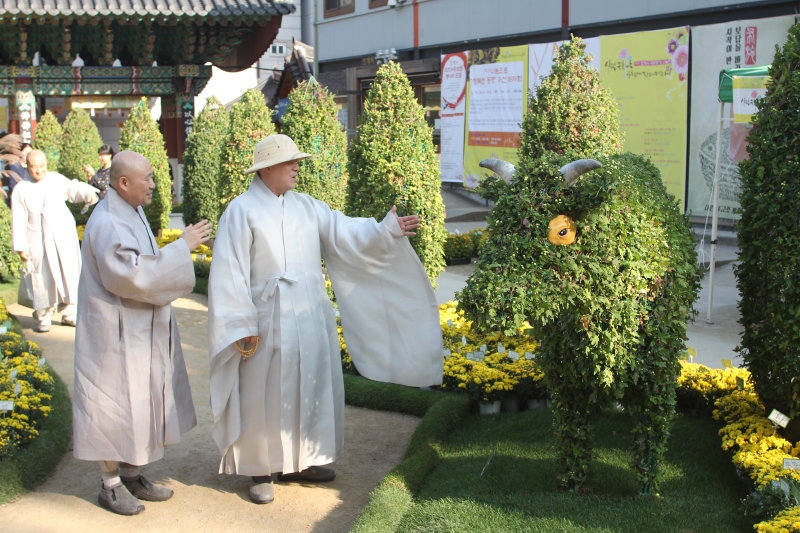 2014.10.10_조계사 국화(사서실) (26)